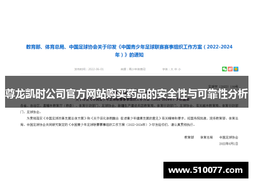 尊龙凯时公司官方网站购买药品的安全性与可靠性分析